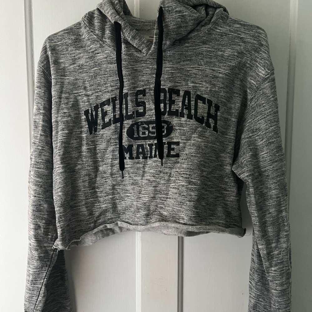 Gray cropped hoodie shirt from Pop Surf in size large (fits more like a small)